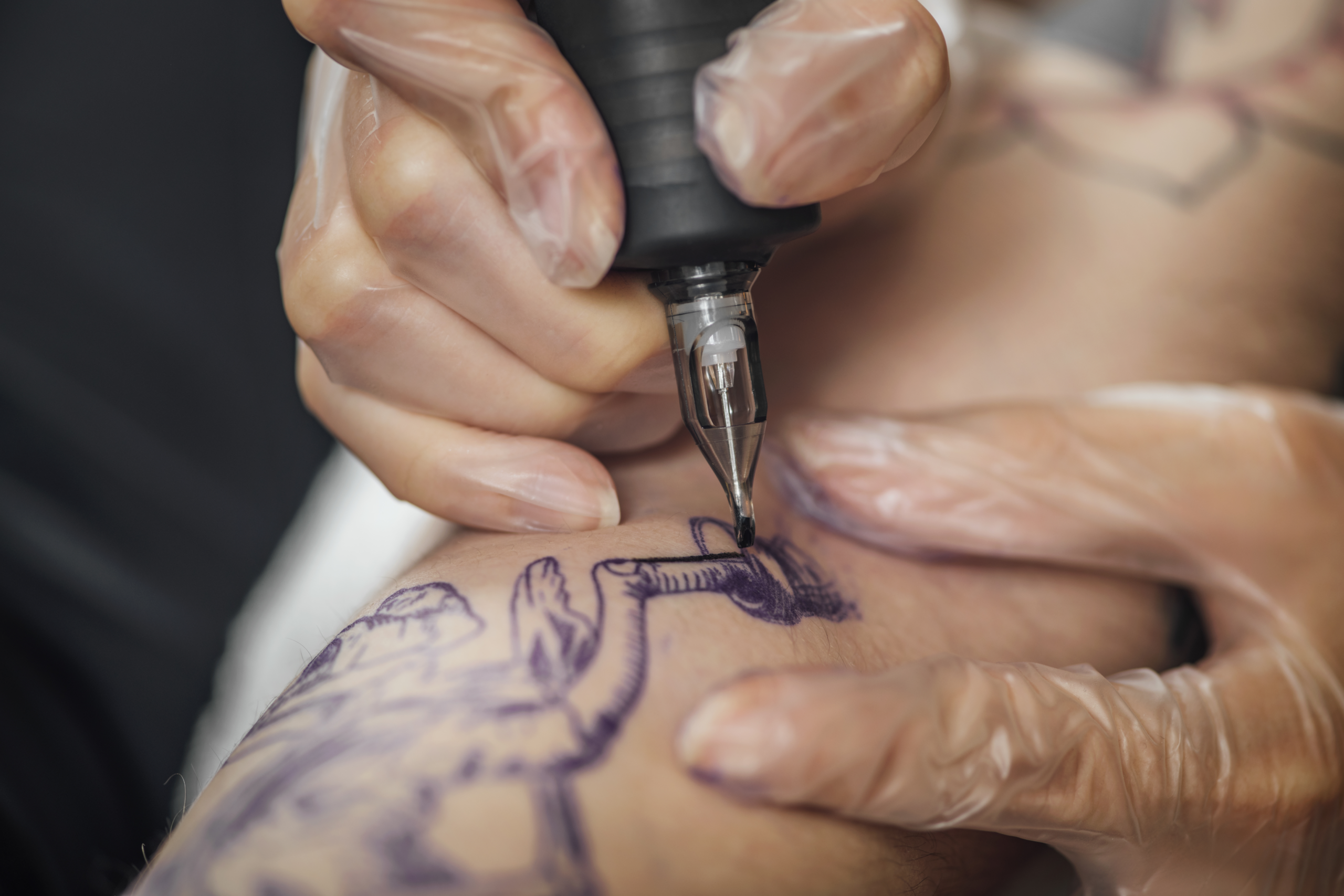 irezumi tattoo billede 2 - Illustration